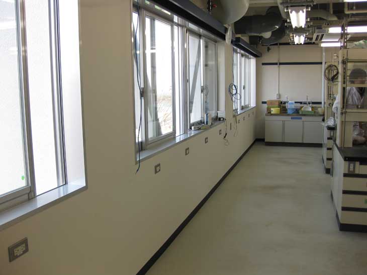 lab