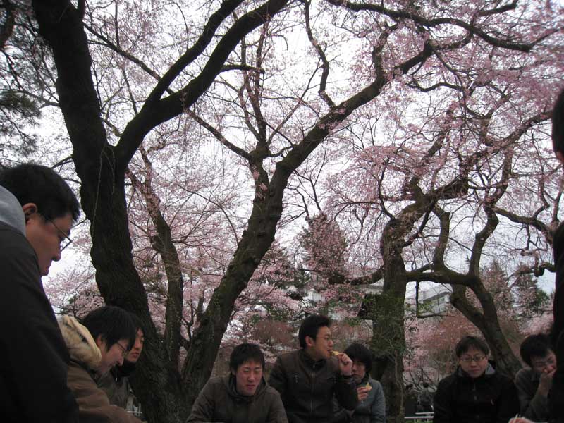 yokoyama